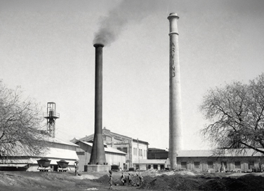 The Spirit of Swadeshi