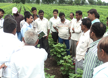 Better Cotton in India