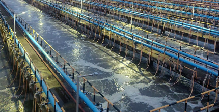 Environmental Solutions