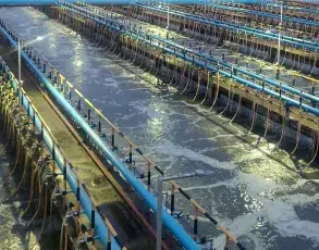 Environmental Solutions