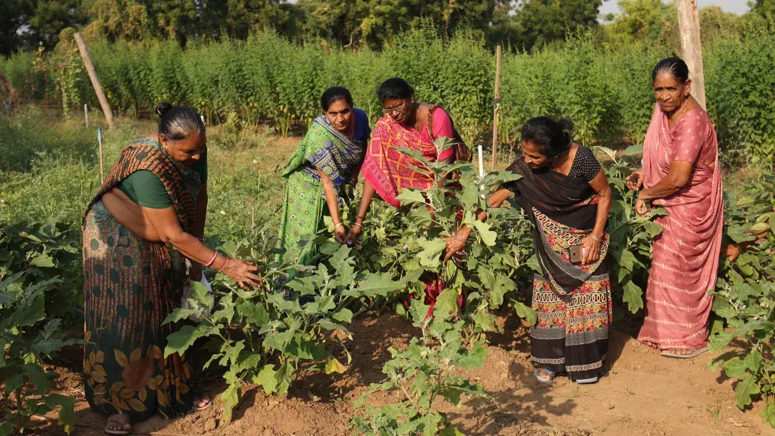 Building Resilient Rural Livelihoods