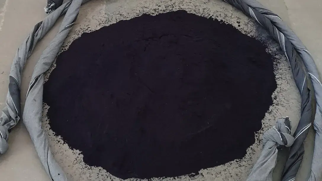 Preserving Living Cultural Heritage