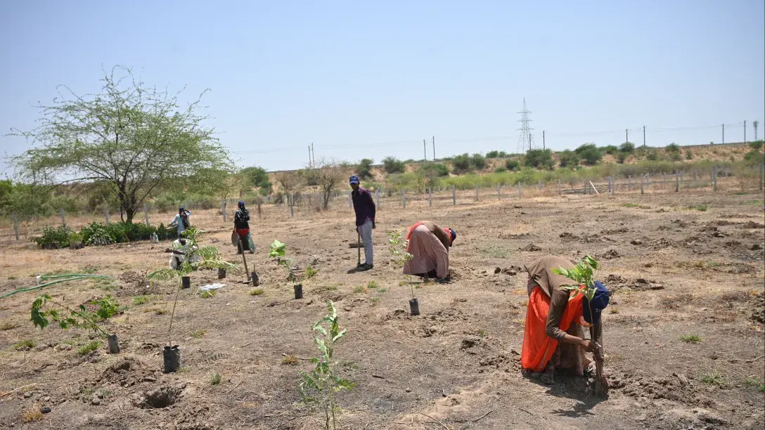 Restoring Natural Capital