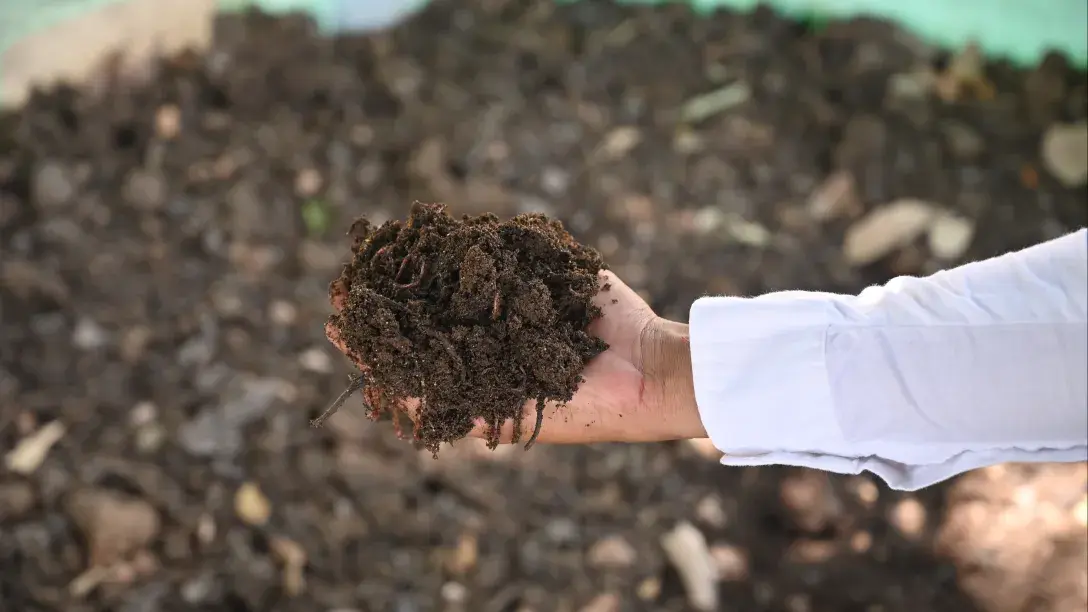 Science-Backed Solutions for Sustainable Farming