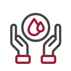 Strengthen water stewardship (ZDHC, CEO Water Mandate)