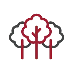 Zero gross deforestation for cotton & viscose by 2030