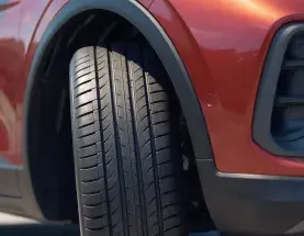Wheel-well liner